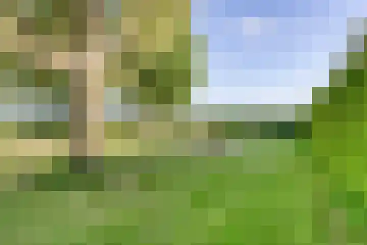 It Skoalpaed 13 Alde Leie thumbnail 39