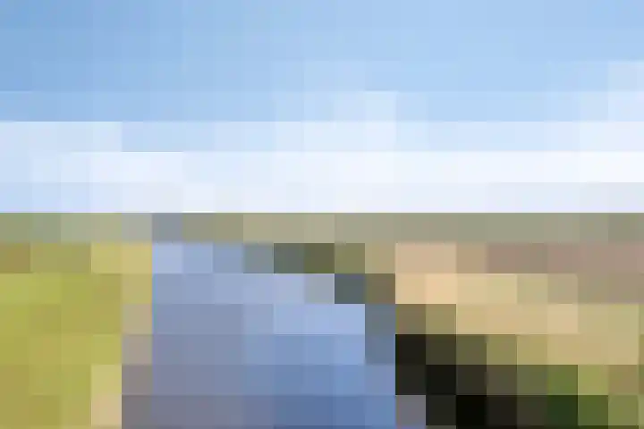 It Skoalpaed 13 Alde Leie thumbnail 40