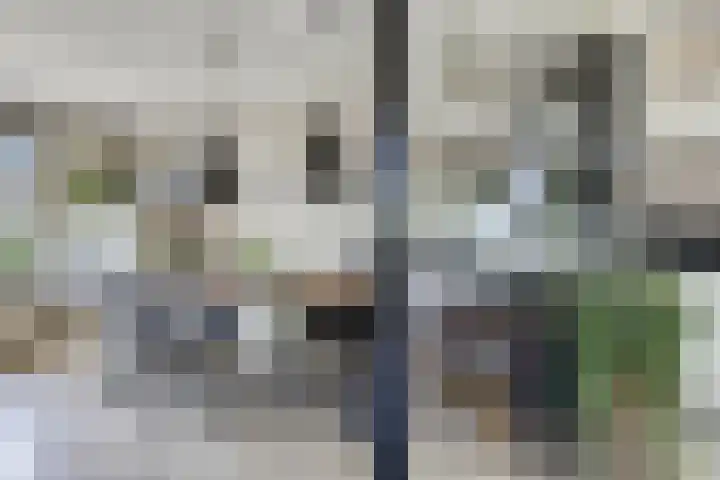 It Skoalpaed 13 Alde Leie thumbnail 6