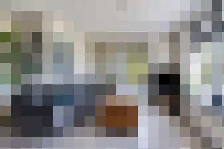 It Skoalpaed 13 Alde Leie thumbnail 7