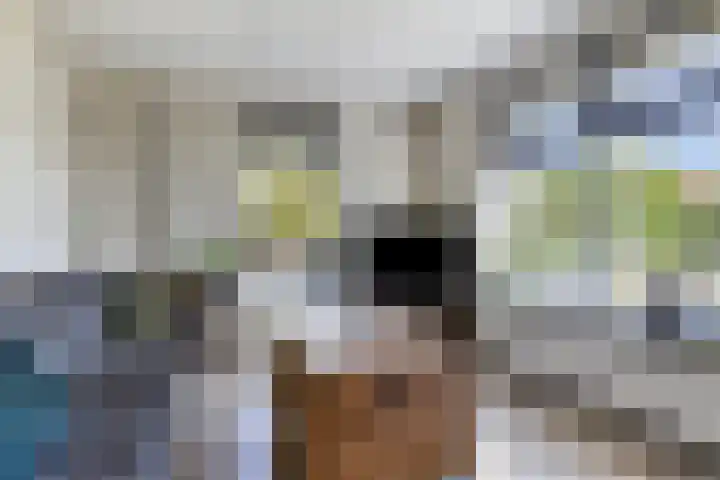 It Skoalpaed 13 Alde Leie thumbnail 8