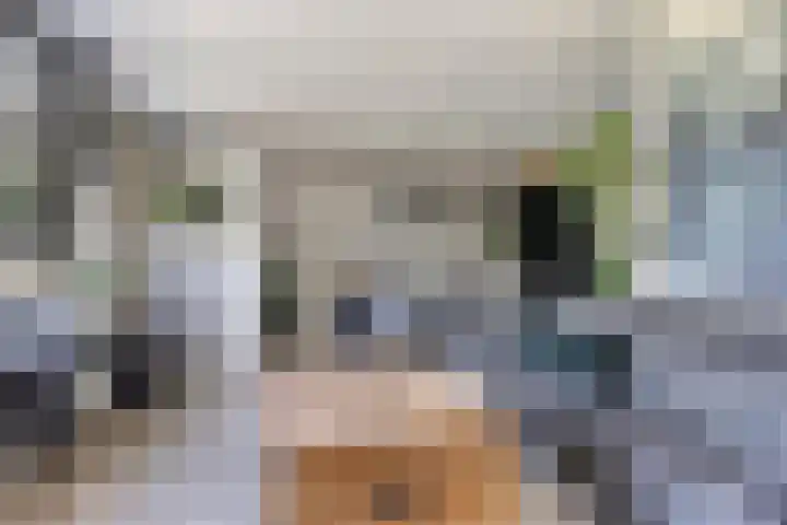 It Skoalpaed 13 Alde Leie thumbnail 9
