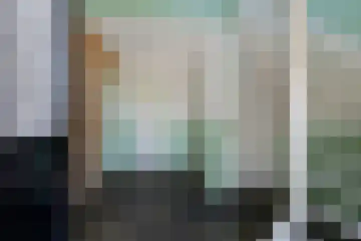 It Skoalpaed 15 Alde Leie thumbnail 10