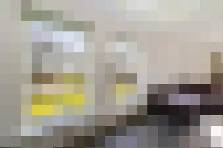 It Skoalpaed 15 Alde Leie thumbnail 21