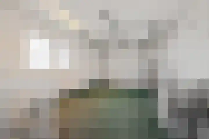 It Skoalpaed 15 Alde Leie thumbnail 26