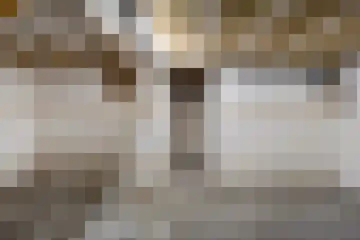It Skoalpaed 15 Alde Leie thumbnail 29