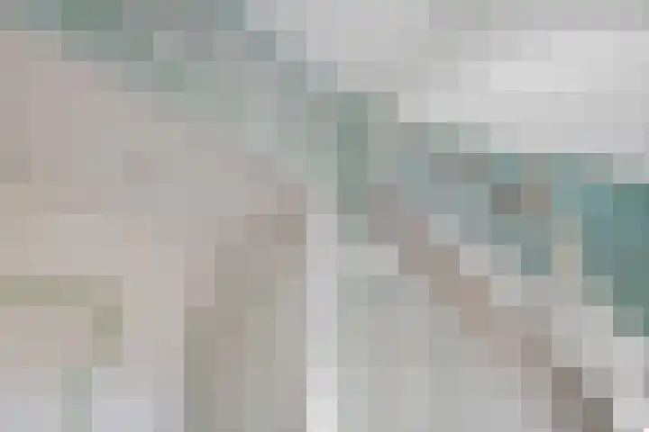 It Skoalpaed 15 Alde Leie thumbnail 30
