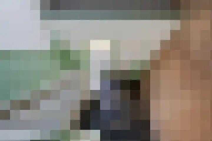 It Skoalpaed 15 Alde Leie thumbnail 31