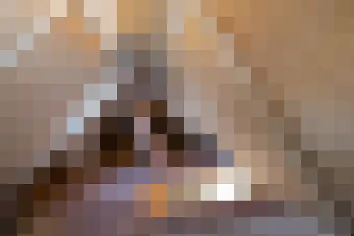 It Skoalpaed 15 Alde Leie thumbnail 43