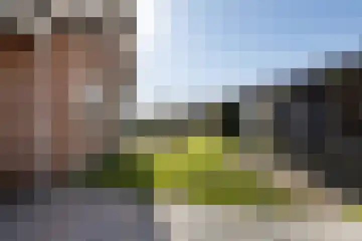 It Skoalpaed 15 Alde Leie thumbnail 44