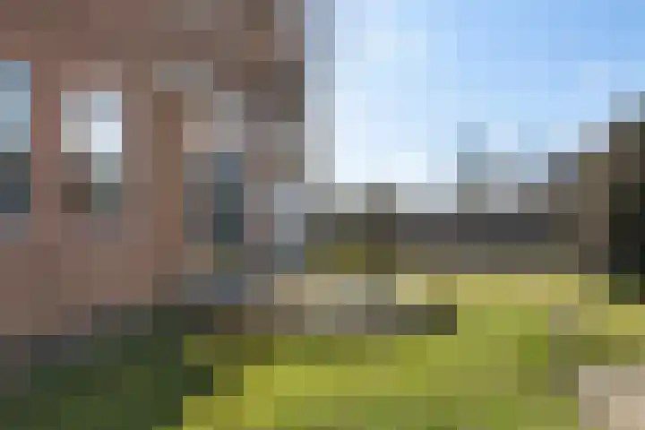 It Skoalpaed 15 Alde Leie thumbnail 45