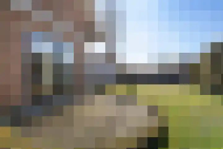 It Skoalpaed 15 Alde Leie thumbnail 47