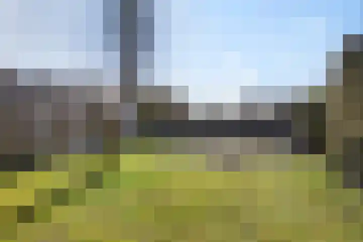 It Skoalpaed 15 Alde Leie thumbnail 48