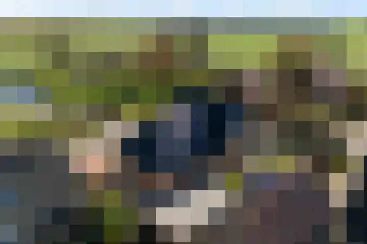 It Skoalpaed 15 Alde Leie thumbnail 50