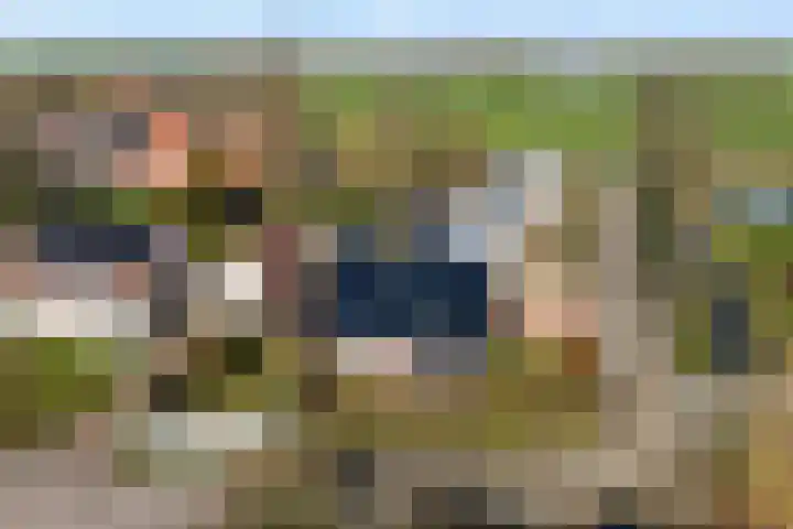 It Skoalpaed 15 Alde Leie thumbnail 51