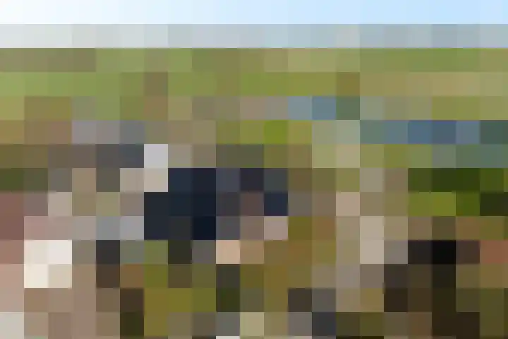 It Skoalpaed 15 Alde Leie thumbnail 52