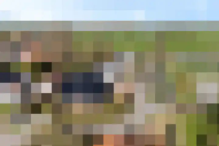 It Skoalpaed 15 Alde Leie thumbnail 53
