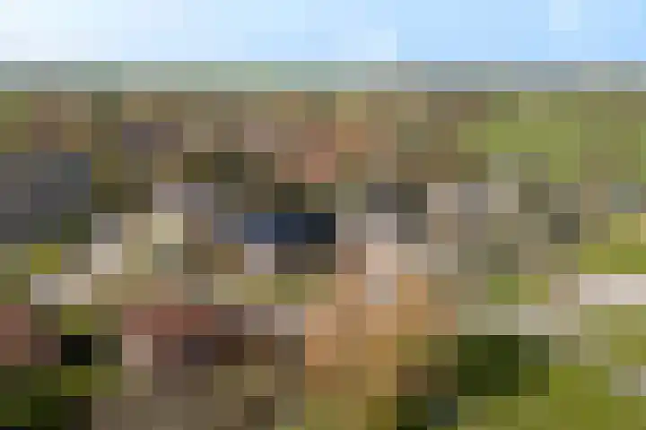 It Skoalpaed 15 Alde Leie thumbnail 54