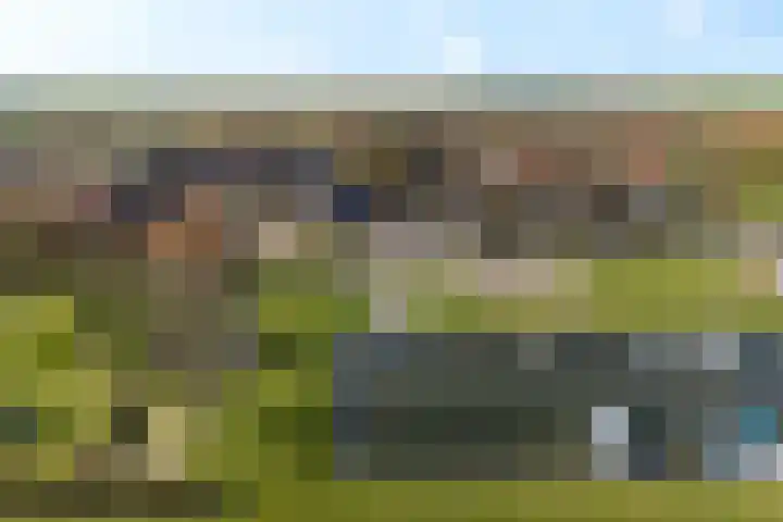 It Skoalpaed 15 Alde Leie thumbnail 55