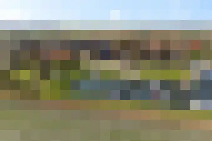 It Skoalpaed 15 Alde Leie thumbnail 56