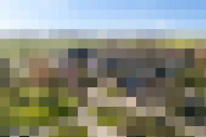 It Skoalpaed 15 Alde Leie thumbnail 57