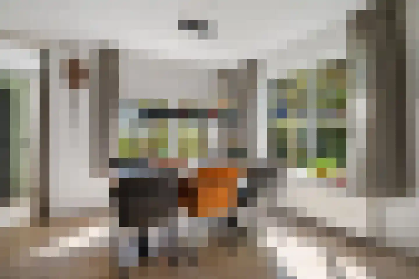 It Skûtsje 14 Mitselwier thumbnail 15