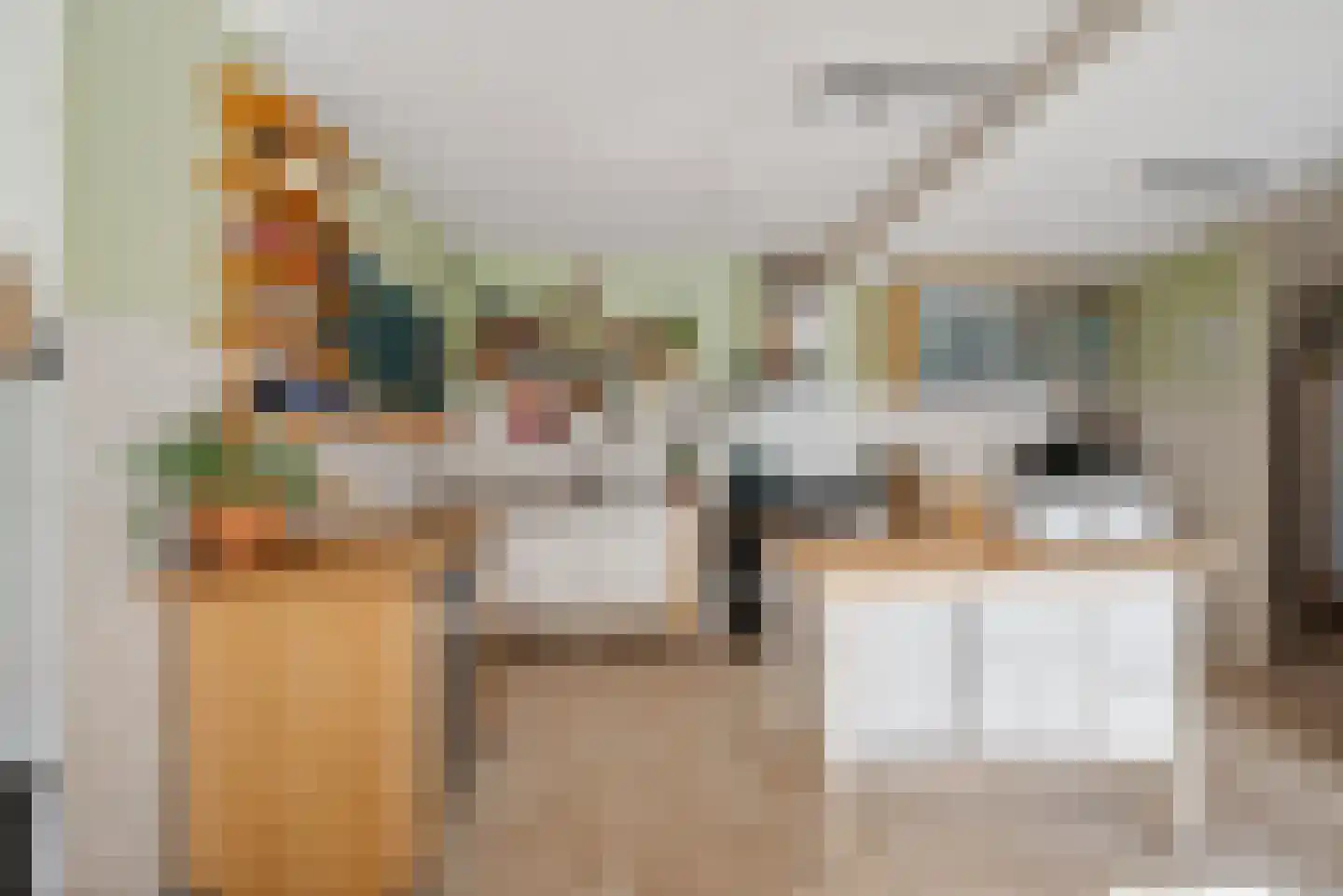 It Skûtsje 14 Mitselwier thumbnail 16