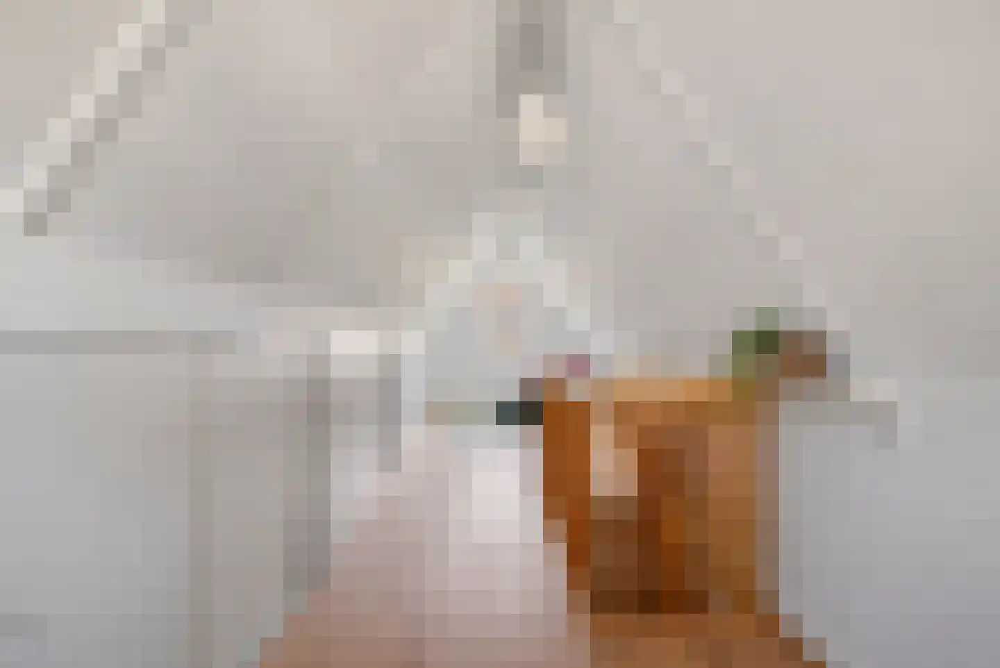 It Skûtsje 14 Mitselwier thumbnail 29