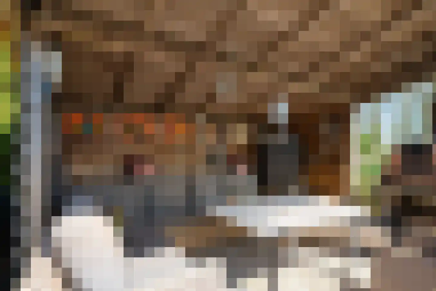 It Skûtsje 14 Mitselwier thumbnail 33