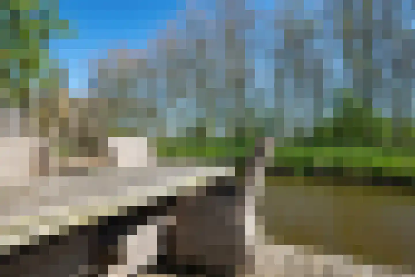 It Skûtsje 14 Mitselwier thumbnail 35