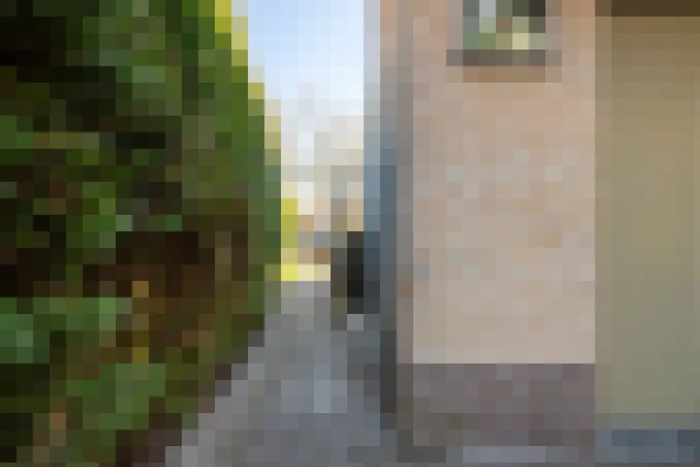 It Skûtsje 14 Mitselwier thumbnail 36