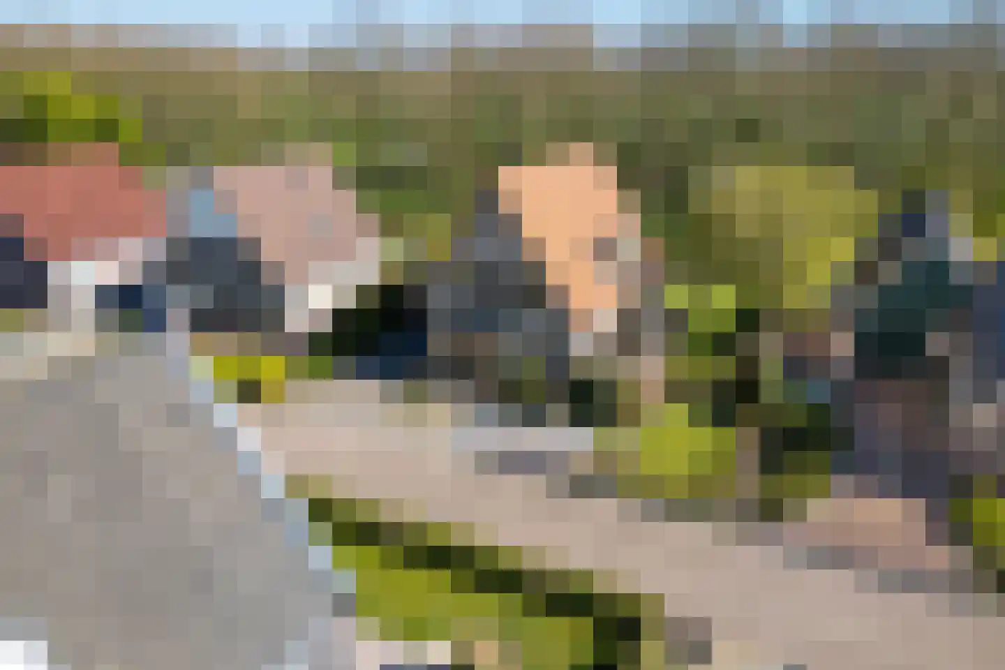 It Skûtsje 14 Mitselwier thumbnail 38