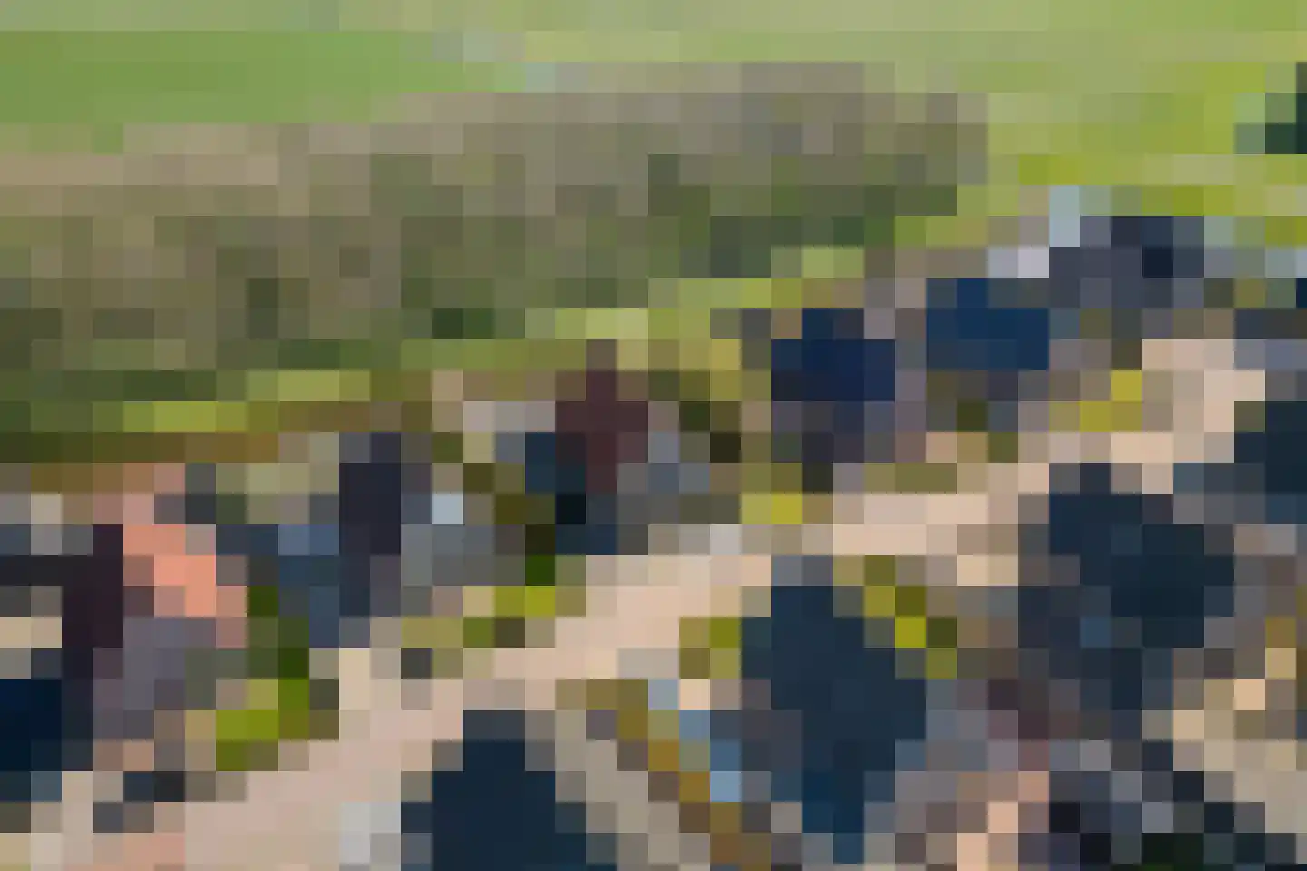 It Skûtsje 14 Mitselwier thumbnail 39