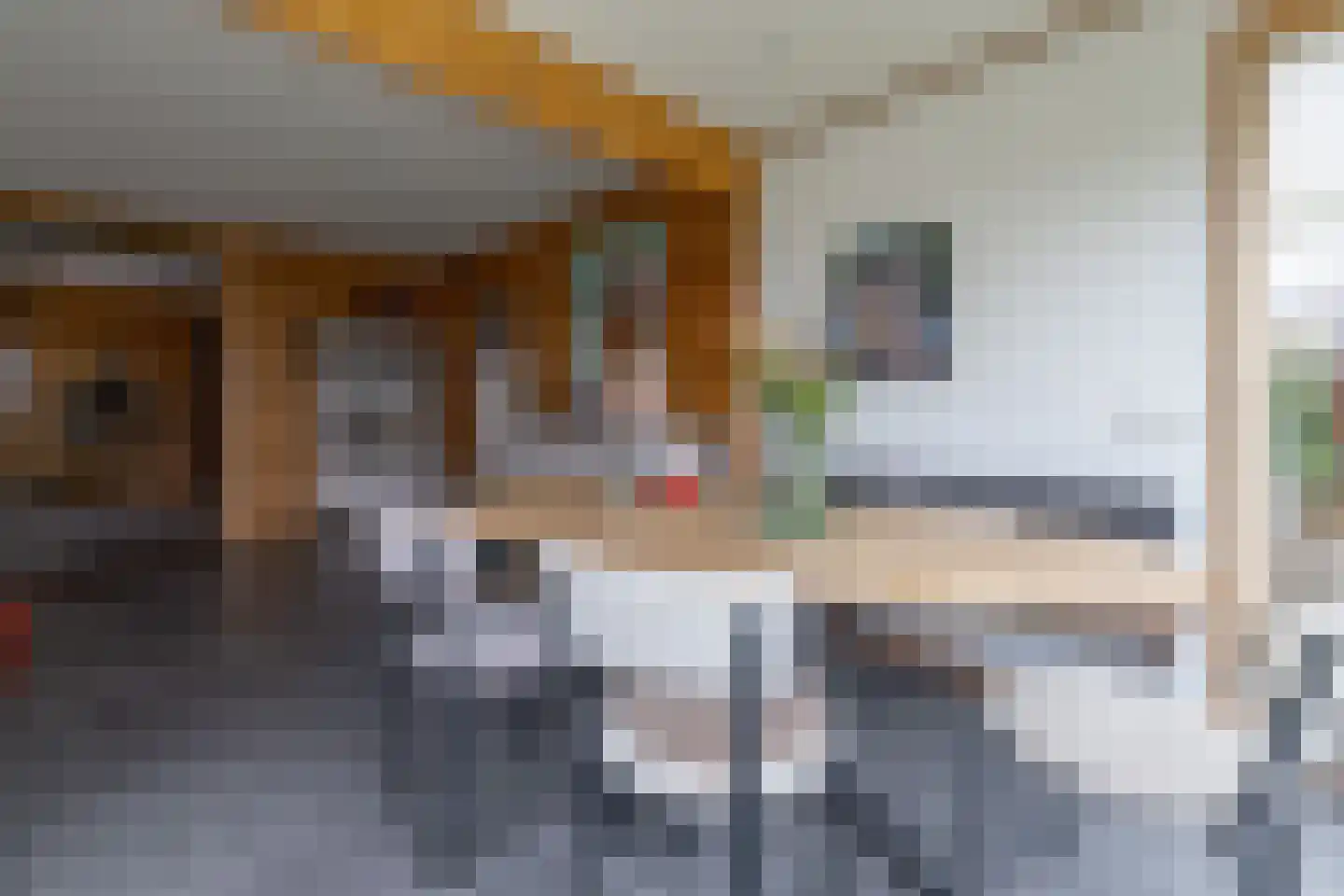 It Skûtsje 22 Mitselwier thumbnail 16