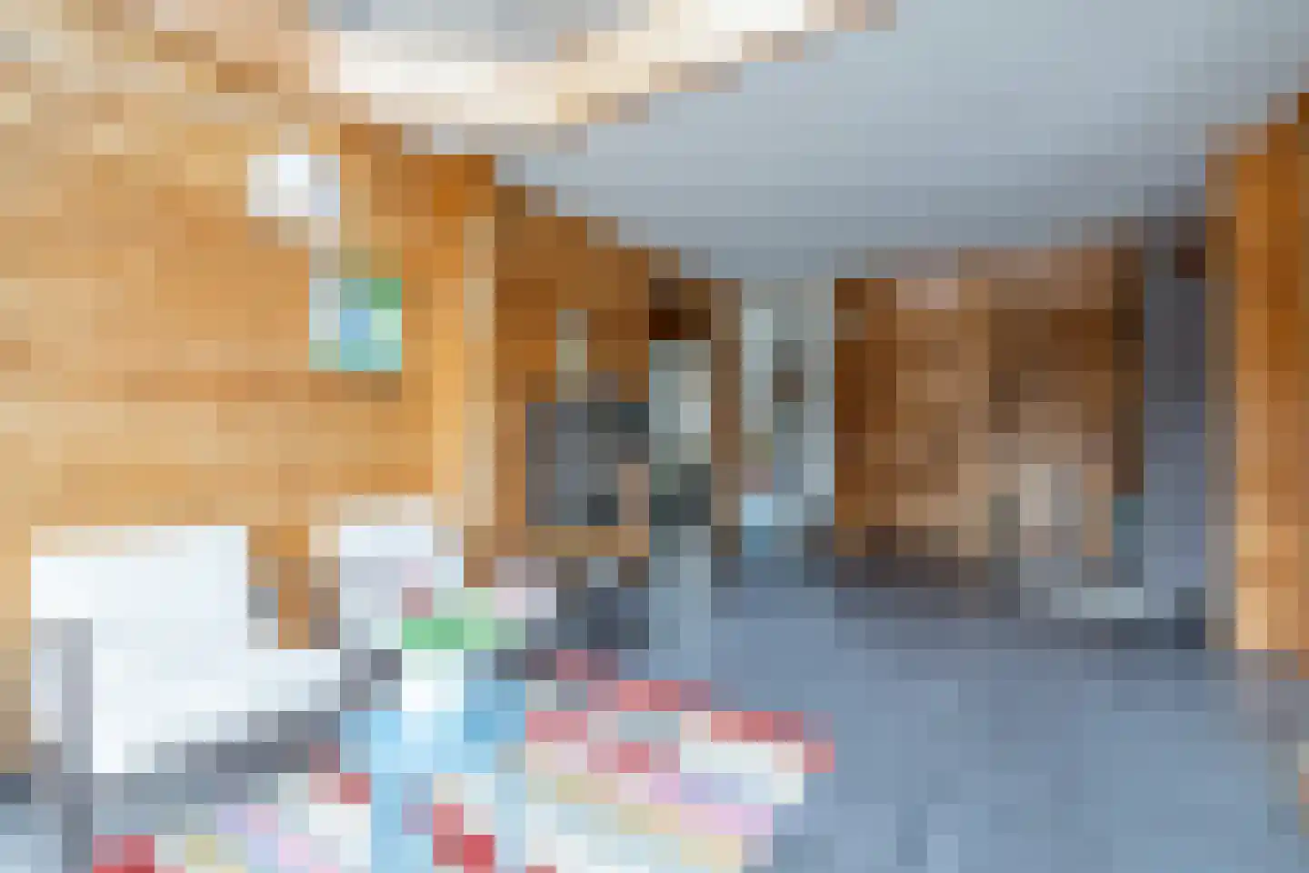 It Skûtsje 22 Mitselwier thumbnail 22