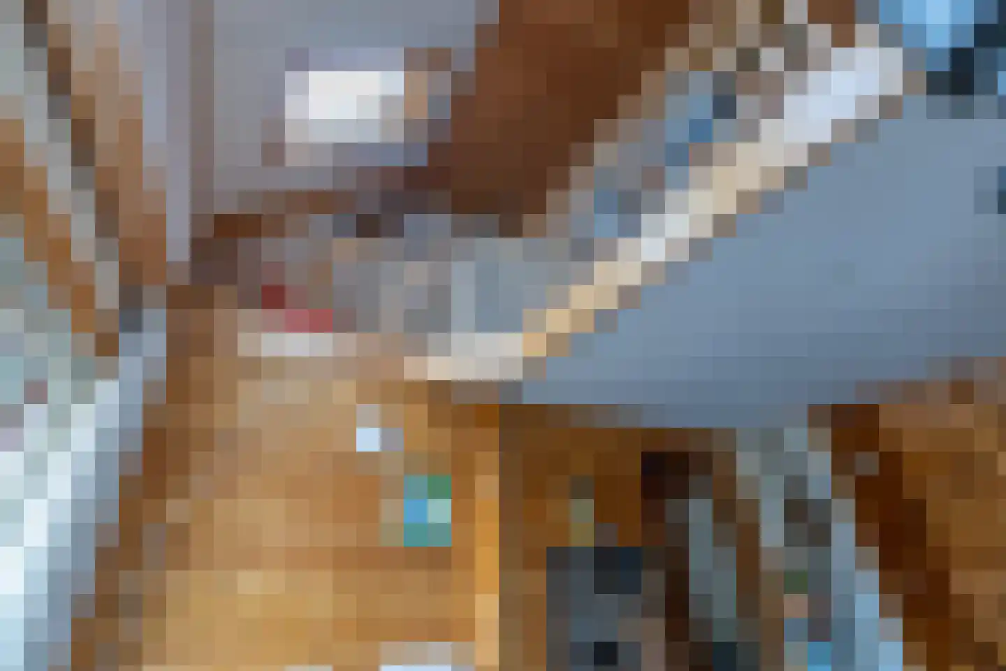 It Skûtsje 22 Mitselwier thumbnail 23