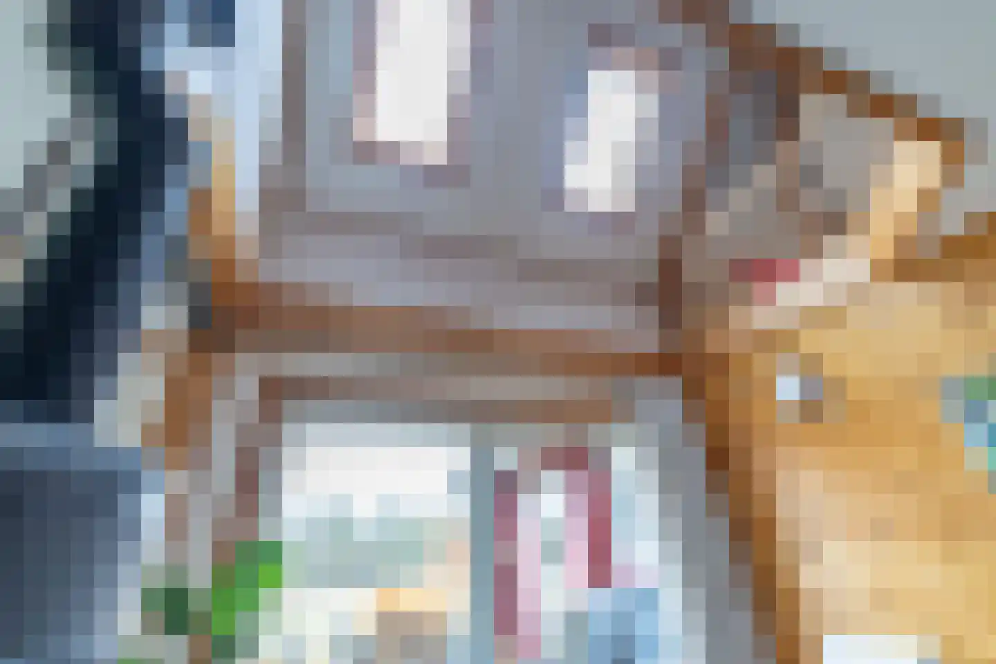 It Skûtsje 22 Mitselwier thumbnail 24