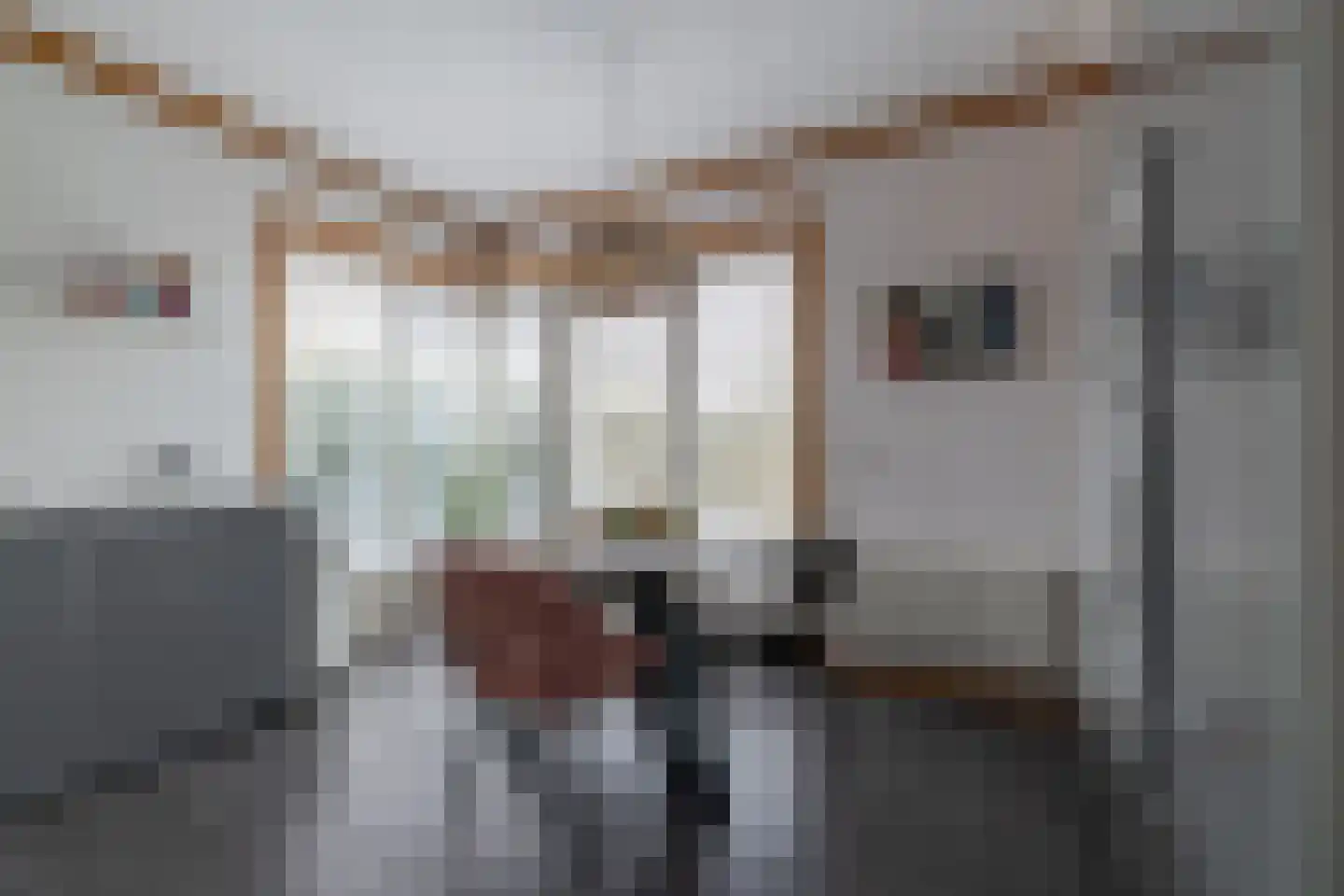 It Skûtsje 22 Mitselwier thumbnail 29