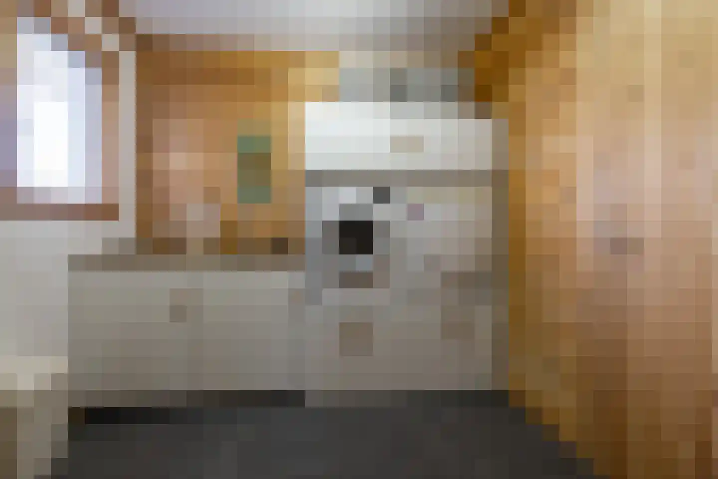 It Skûtsje 22 Mitselwier thumbnail 33
