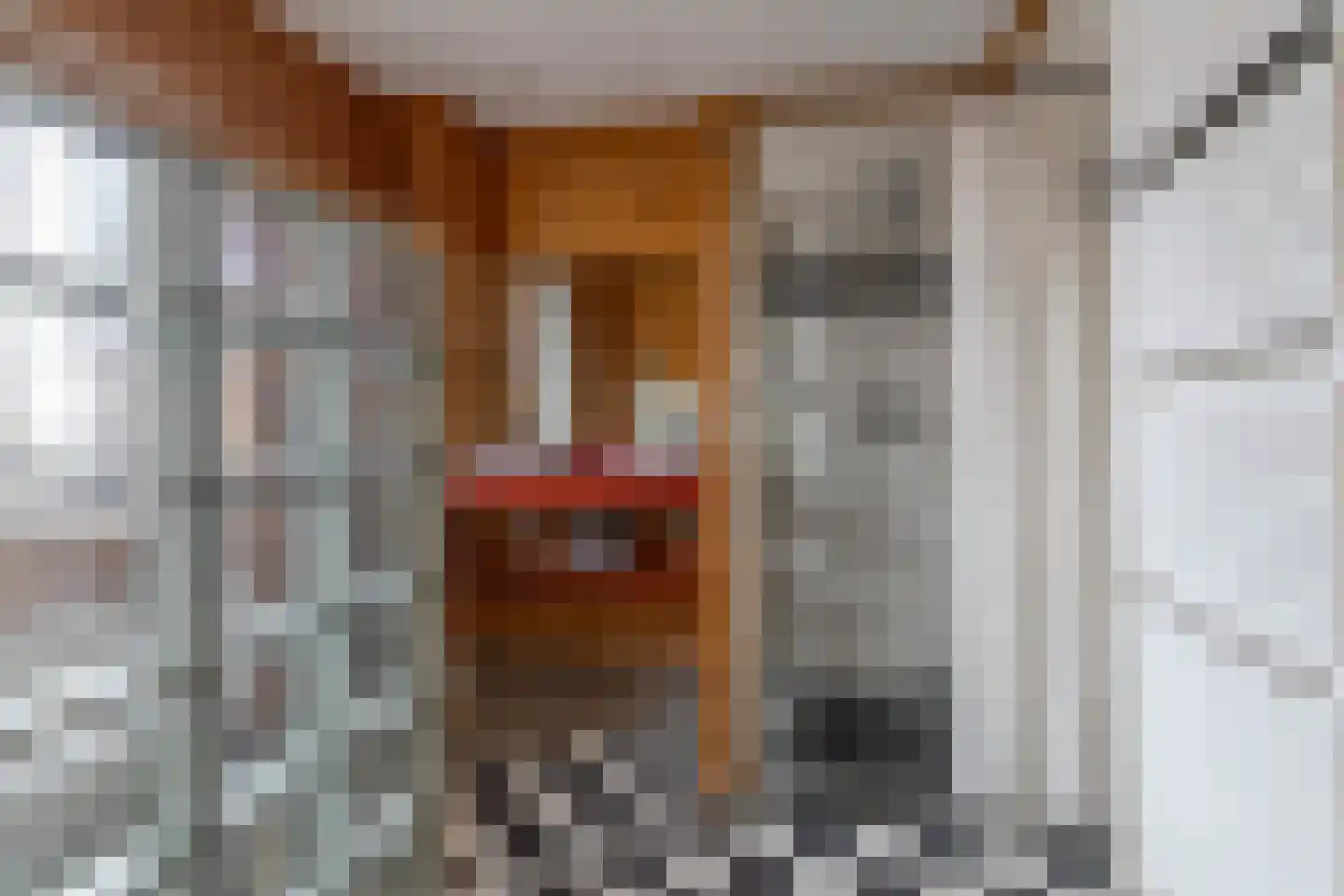 It Skûtsje 22 Mitselwier thumbnail 36