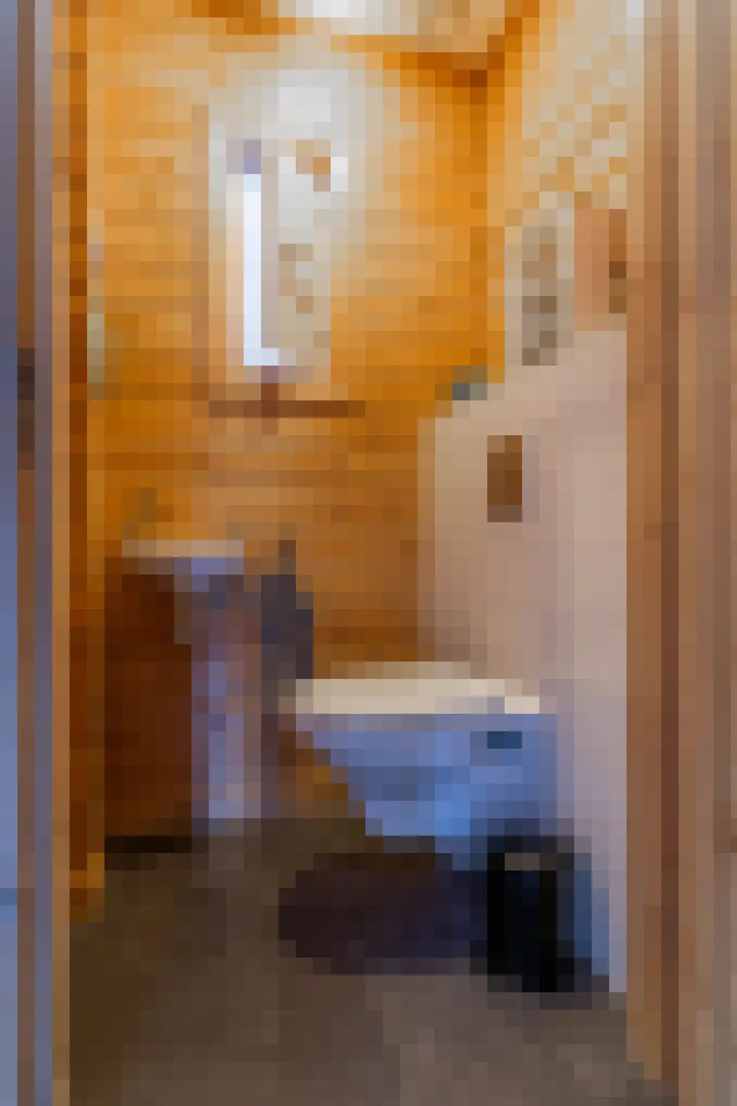 It Skûtsje 22 Mitselwier thumbnail 39