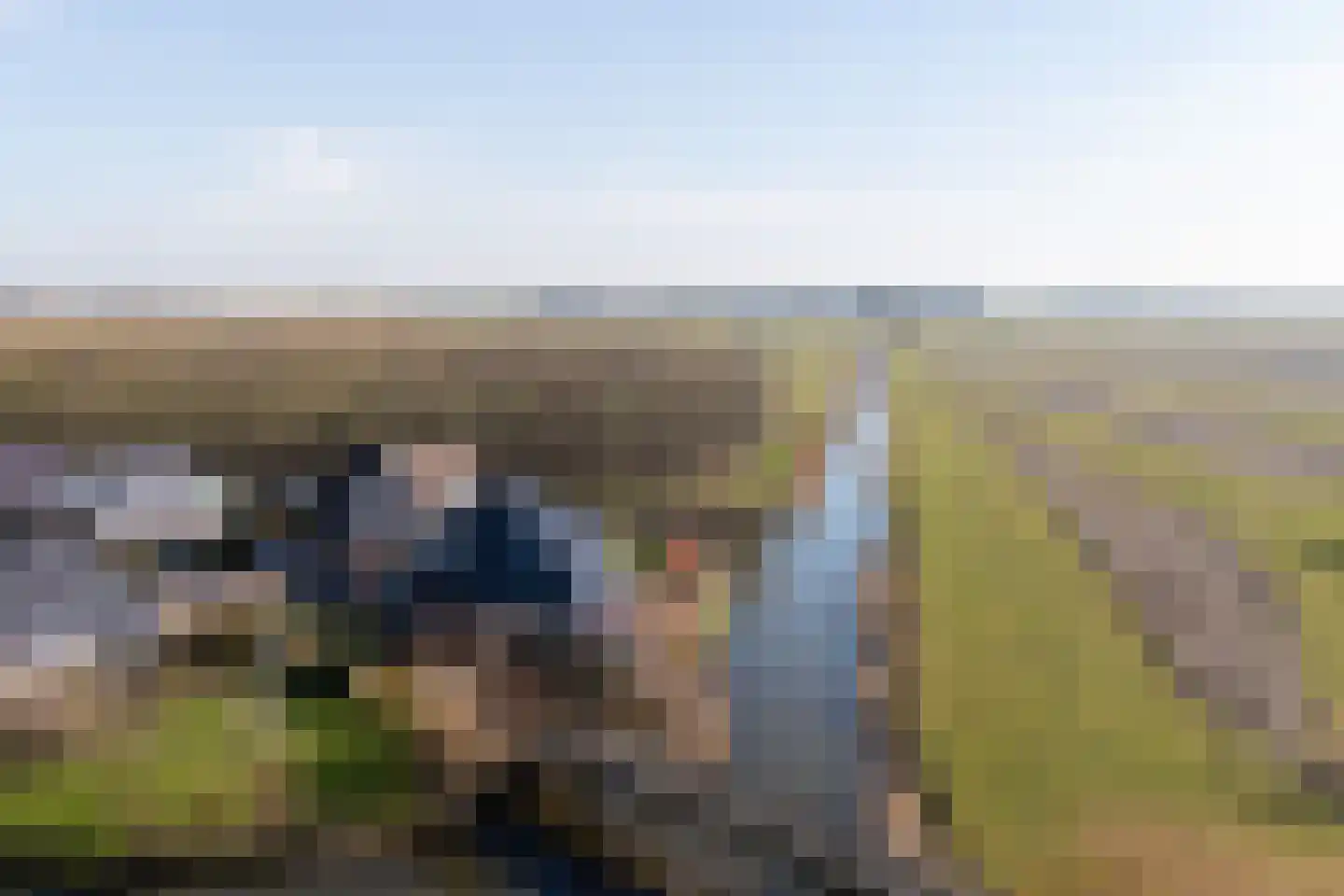 It Skûtsje 22 Mitselwier thumbnail 4