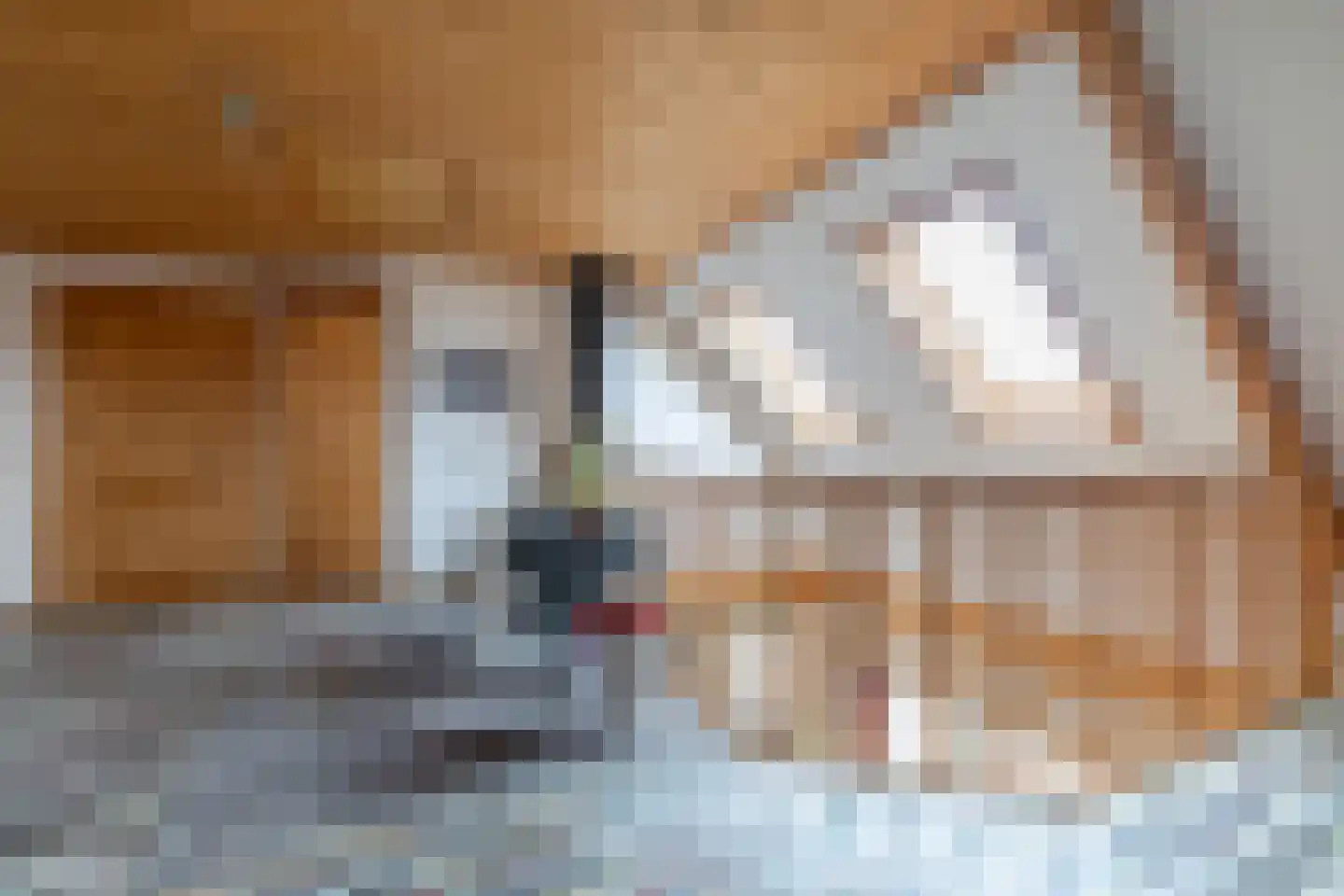 It Skûtsje 22 Mitselwier thumbnail 44