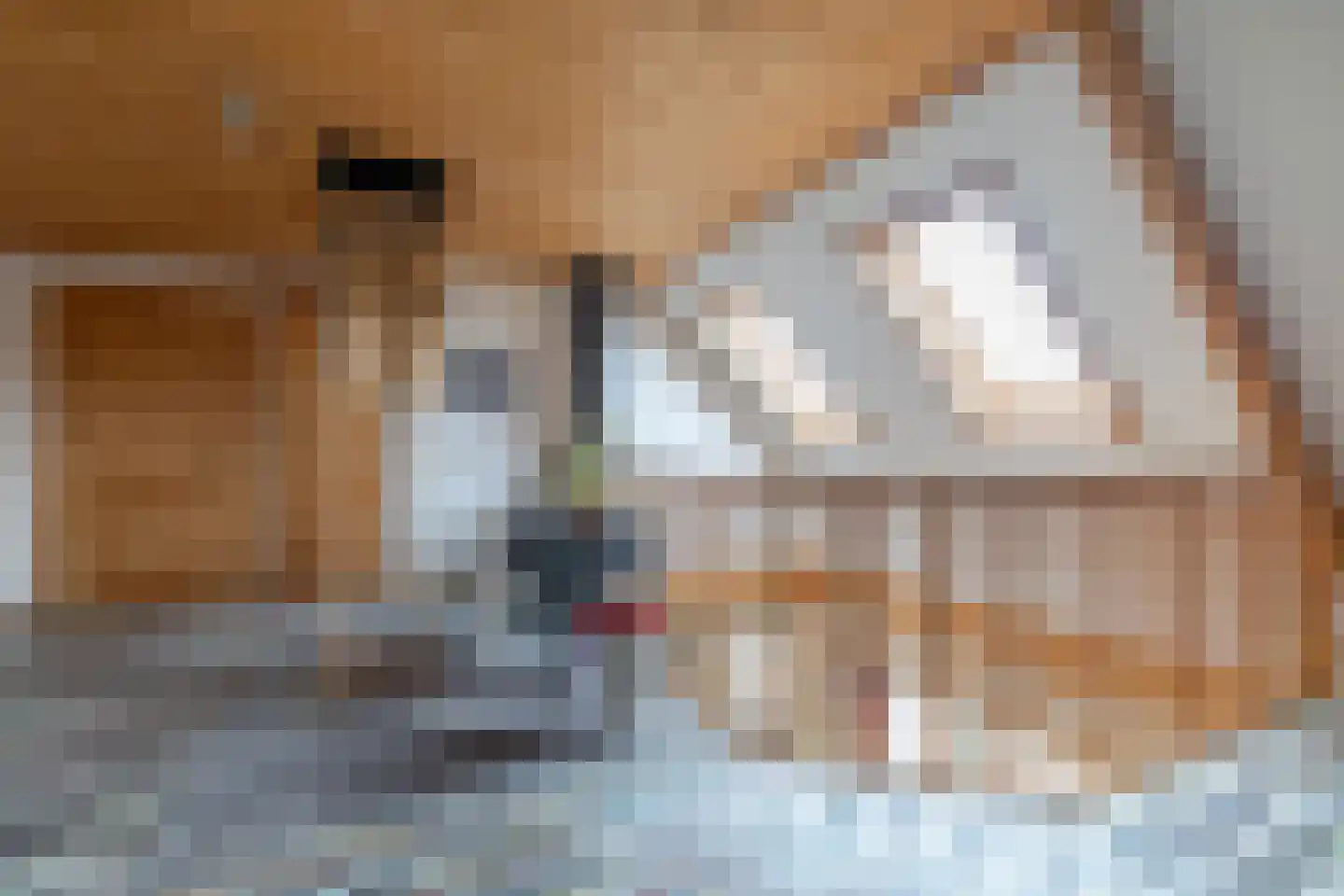 It Skûtsje 22 Mitselwier thumbnail 45