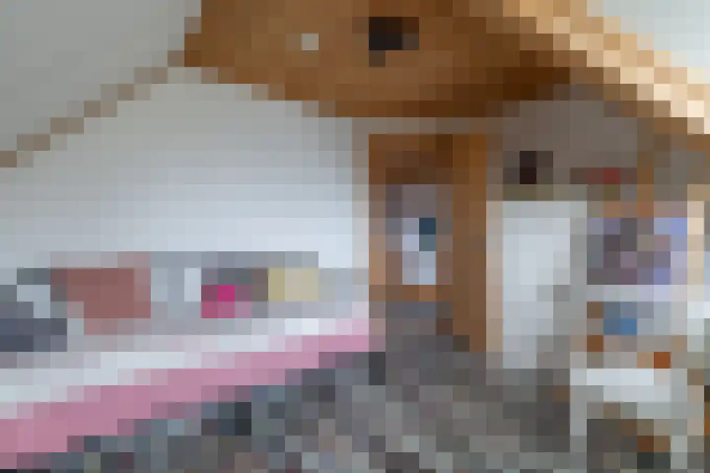 It Skûtsje 22 Mitselwier thumbnail 51