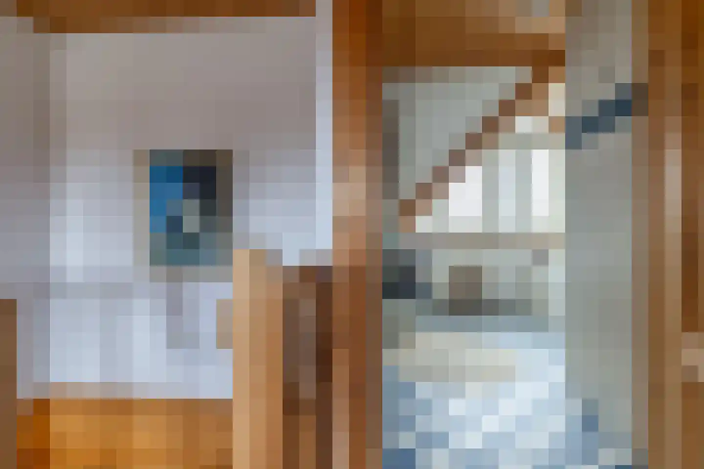 It Skûtsje 22 Mitselwier thumbnail 53
