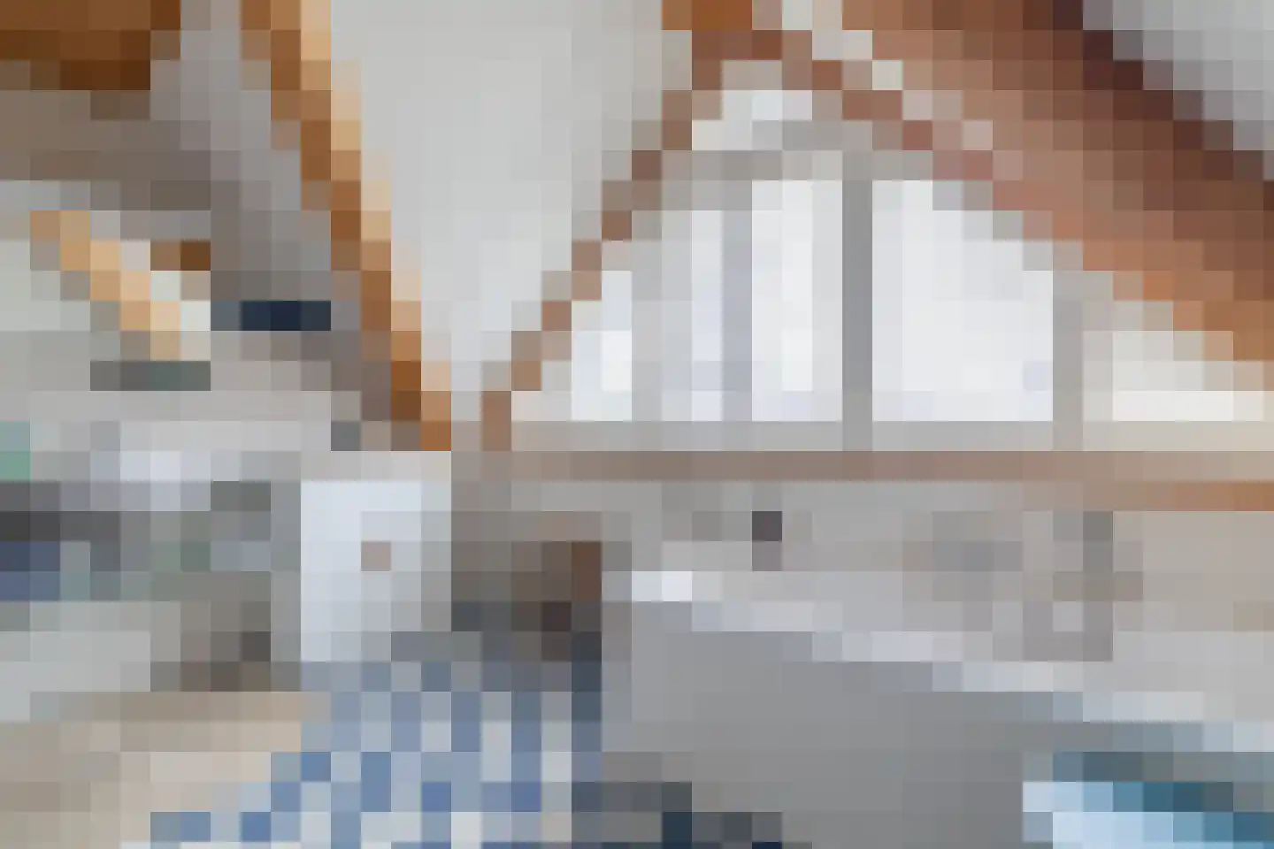 It Skûtsje 22 Mitselwier thumbnail 57