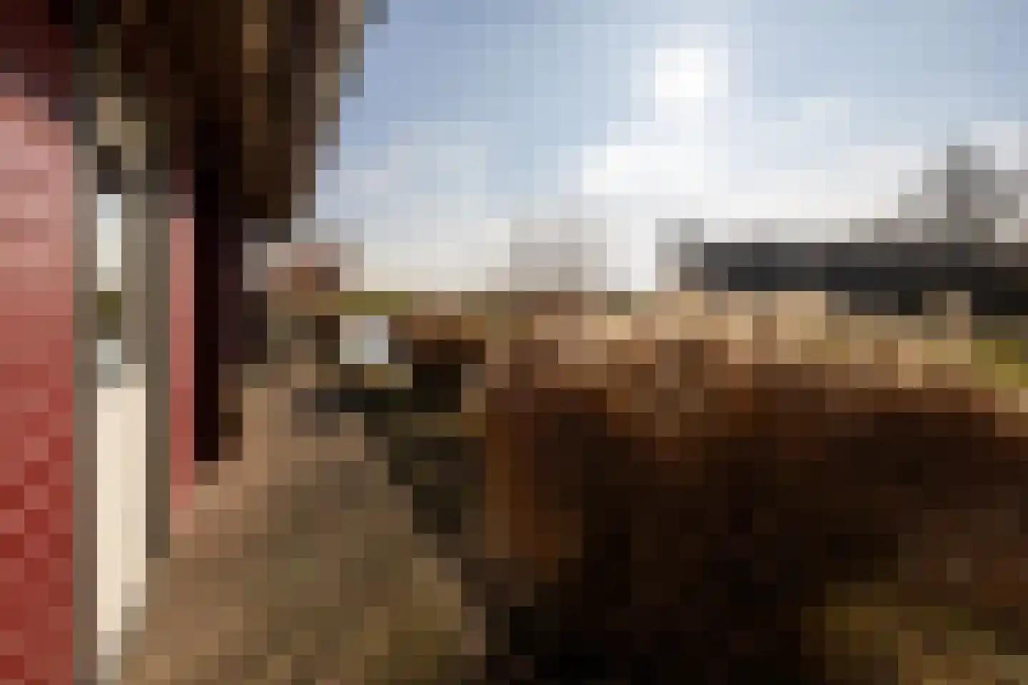 It Skûtsje 22 Mitselwier thumbnail 59