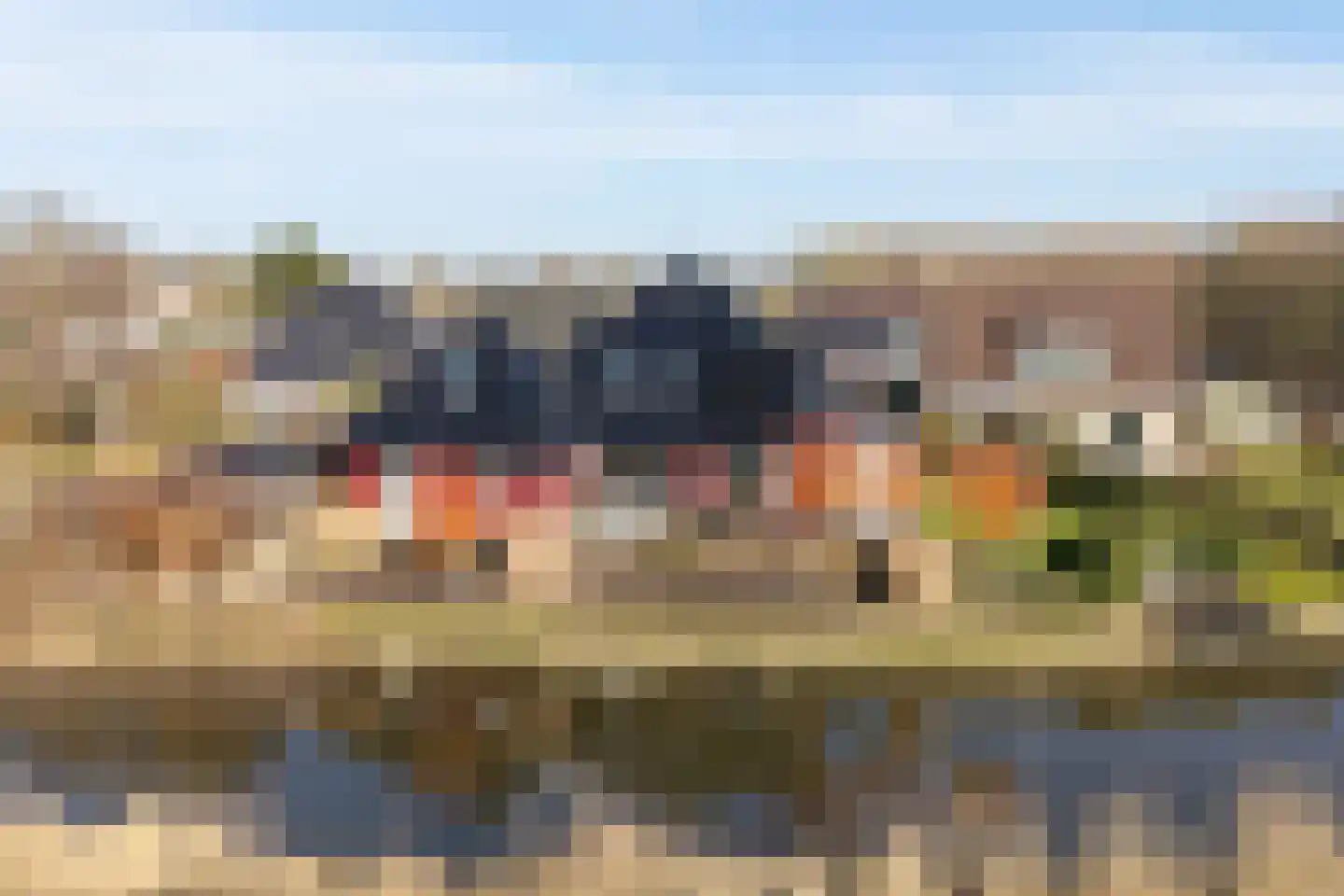 It Skûtsje 22 Mitselwier thumbnail 6
