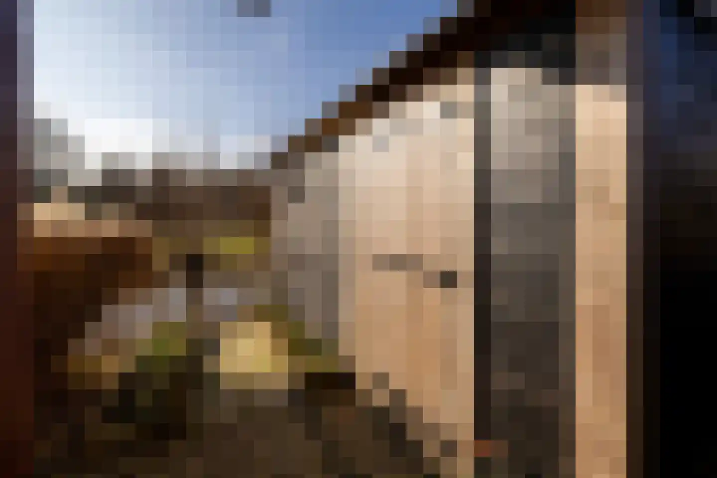 It Skûtsje 22 Mitselwier thumbnail 60